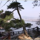 삼천궁여