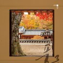 우리음악 우리춤 이미지