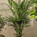 브리스힐링공간 이미지