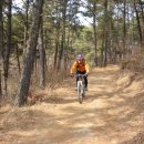 해오름1로 이미지