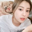 제제 이미지