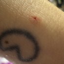 우두로 R | 내돈내산 대병 컨텐츠 - 3