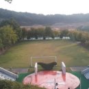 화성시청 축구장 이미지