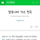 피해상황중.. 암모니아가스냄새..암모니아 독성으로 인한 신체적 미치는영향..그리고 암모니아 전극.. 이미지