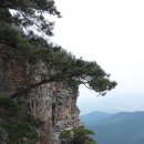 곡성-185 이미지