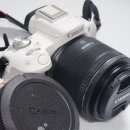 [종로] 카메라 중고 판매 및 렌즈 구입하기 좋은 남대문 효성카메라 캐논 RF35mm 구입후기