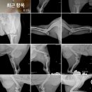 바로슬동물병원 이미지