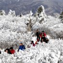 태백산 - 김포시 양곡3로1번길 26-5 | 태백산
