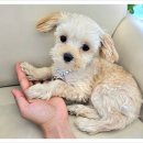 아이조아요양보호소 대구점 이미지