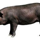 축진농장 이미지