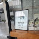 더케이호텔경주 | [경주]경주 애견동반 숙소 더케이호텔경주 펫룸 스위트룸 내돈내산 후기