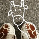 족발나라 이미지