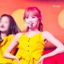 큐리어스 Daum카페