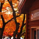 [10월30일] 장성 백암산.백양사 단풍산행 이미지