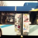 영보약국 이미지