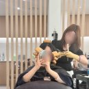 수정미용실 | 진주 경상대 미용실 어테인헤어 수정디자이너 레이어드컷+펌 후기