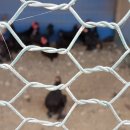 한종농장 이미지