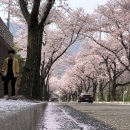 GS25울산작천정 이미지
