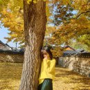 만년소녀 이미지