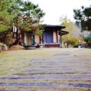 서성리 입구 이미지