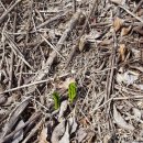 밭두렁농원 이미지