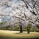 담배인삼공사 이미지