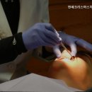 크리스마스치과의원 이미지