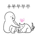 한스네이쳐