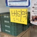식빵코끼리
