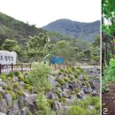 소선암오토캠핑장 이미지