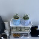 세븐일레븐 울산삼산웨딩점 | W4. 울산 삼산 웨딩 수분관리 후기ㅣ데자뷰메디스킨 울산점