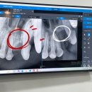 강남예치과동물병원 이미지