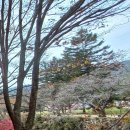 명곡동259 이미지