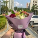 꽃그리다바이엘라 이미지