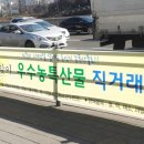 장애인복지회관 건너편 이미지