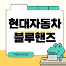 현대자동차블루핸즈 이미지
