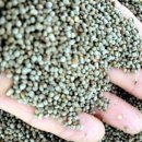 주경농장 이미지