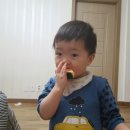 달빛 아리수 이미지