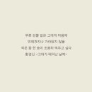 예호 이미지