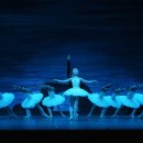 국립발레단 ’백조의 호수’ 이미지