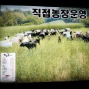 수신농장 이미지
