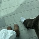 ✺ 서촌, 성수 나들이 ✺ 소품샵 my choice, ozzl, 꽁뜨와드미라벨, 모시 서촌, 레퍼토리 쑤님팝업...