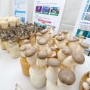 오감 만족 요리 체험 이미지