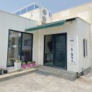 신산리-1 | 제주 애견동반 식당 보말칼국수 성산 봄죽칼국수 신산리 본점 내돈내산