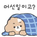 아따멍멍 네이버블로그