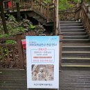 숲속의 펜션 이미지