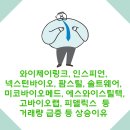와이제이스틸 이미지