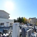 영산약국 이미지