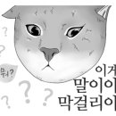피카소화장품 - 광양시 읍내중앙길 31 | 피카소화장품