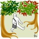 미지로여행세상